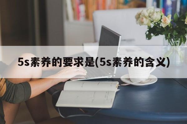 5s素养的要求是(5s素养的含义)